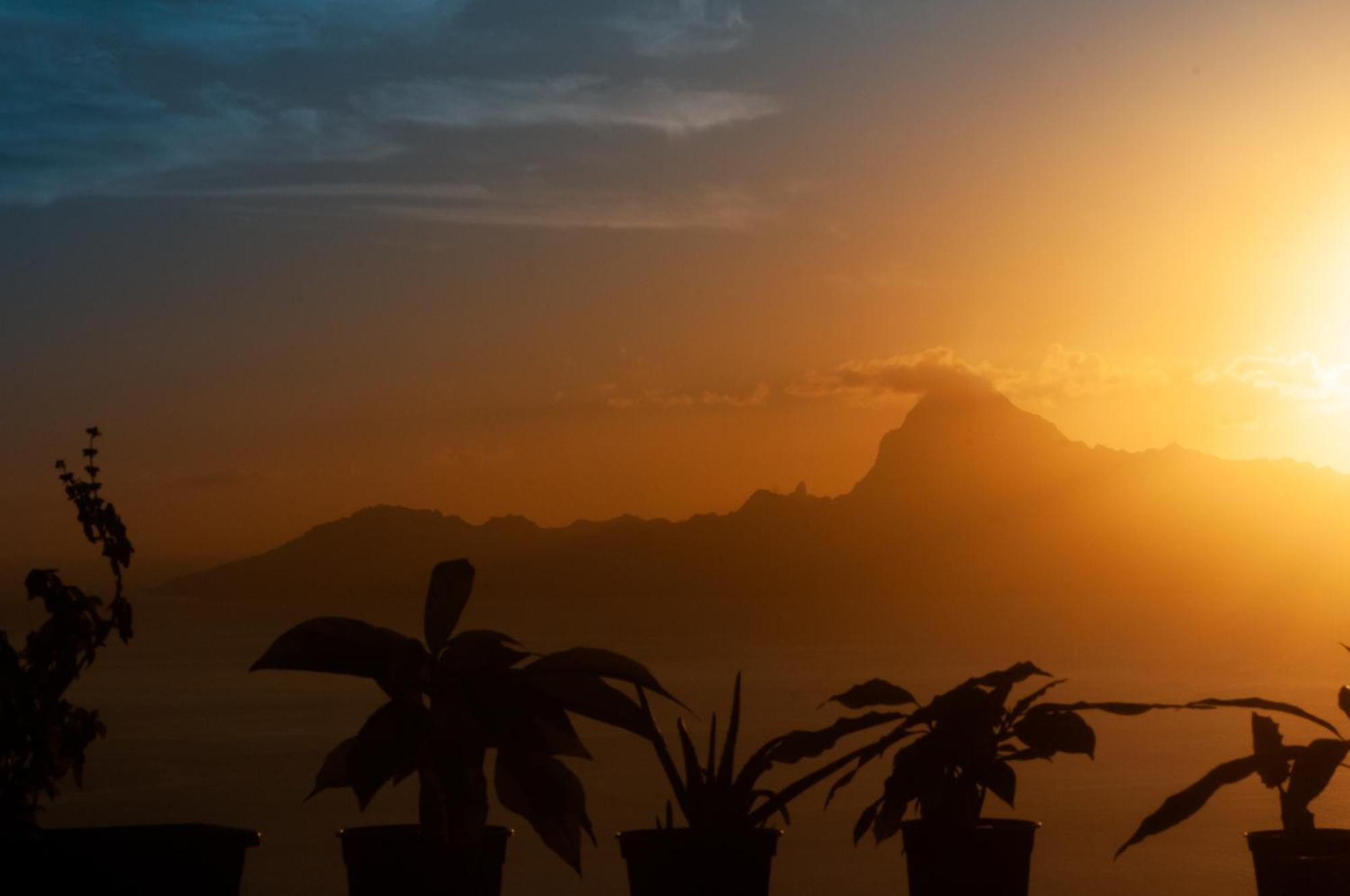 Апартаменты Vue Sur Moorea Пунаауйя Экстерьер фото